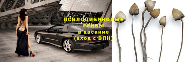 ГАЛЛЮЦИНОГЕННЫЕ ГРИБЫ Володарск