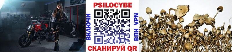 как найти закладки  Волчанск  Галлюциногенные грибы Magic Shrooms 